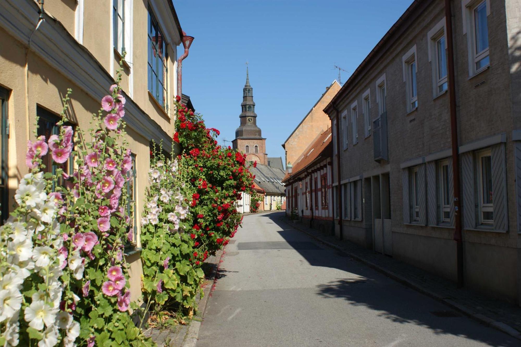 Ystad Camping Exterior foto